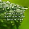 imagePampampJ Trading  Leather Scented Oil 10ml  Fragrance Oil for Candle Making Soap Making Diffuser Oil