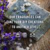 imagePampampJ Trading Fragrance Oil  Summer Flowers Set of 6  Scented Oil for Soap Making Diffusers Candle Making Lotions Haircare Slime and Home Fragrance