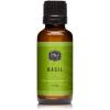 imagePampampJ Trading Fragrance Oil  Basil Oil 30ml  Candle Scents for Candle Making Freshie Scents Soap Making Supplies Diffuser Oil Scents