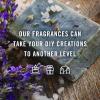 imagePampampJ Fragrance Oil  Eucalyptus Scented Candles Soaps Diffusers and More  100ml