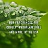 imagePampampJ Fragrance Oil  Eucalyptus Scented Candles Soaps Diffusers and More  10ml2
