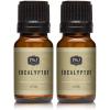 imagePampampJ Fragrance Oil  Eucalyptus Scented Candles Soaps Diffusers and More  10ml2