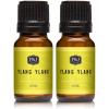 imagePampampJ Trading Fragrance Oil  Ylang Ylang Oil 10ml  Candle Scents for Candle Making Freshie Scents Soap Making Supplies Diffuser Oil Scents2