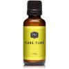 imagePampampJ Trading Fragrance  Ylang Ylang Oil 30ml  Candle Scents for Candle Making Freshie Soap Making Supplies Diffuser Oil Scents