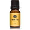 imagePampampJ Trading Fragrance Oil  Ambrosia Oil 10ml  Candle Scents for Candle Making Freshie Scents Soap Making Supplies Diffuser Oil Scents1