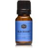 imagePampampJ Trading Fragrance Oil  Blueberry Oil 10ml  Candle Scents for Candle Making Freshie Scents Soap Making Supplies Diffuser Oil Scents1