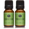 imagePampampJ Trading Fragrance Oil  Forest Pine Oil 10ml  Candle Scents for Candle Making Freshie Scents Soap Making Supplies Diffuser Oil Scents2